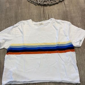 Brandy Melville Crop T Shirt